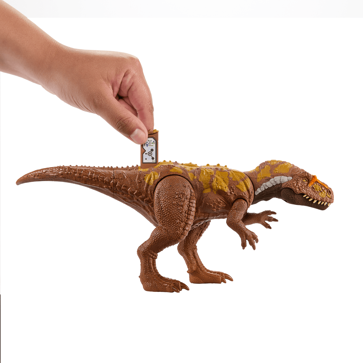 Jurassic World-Megalosaurus Rugissement F¨¦roce-Figurine Articul¨¦e